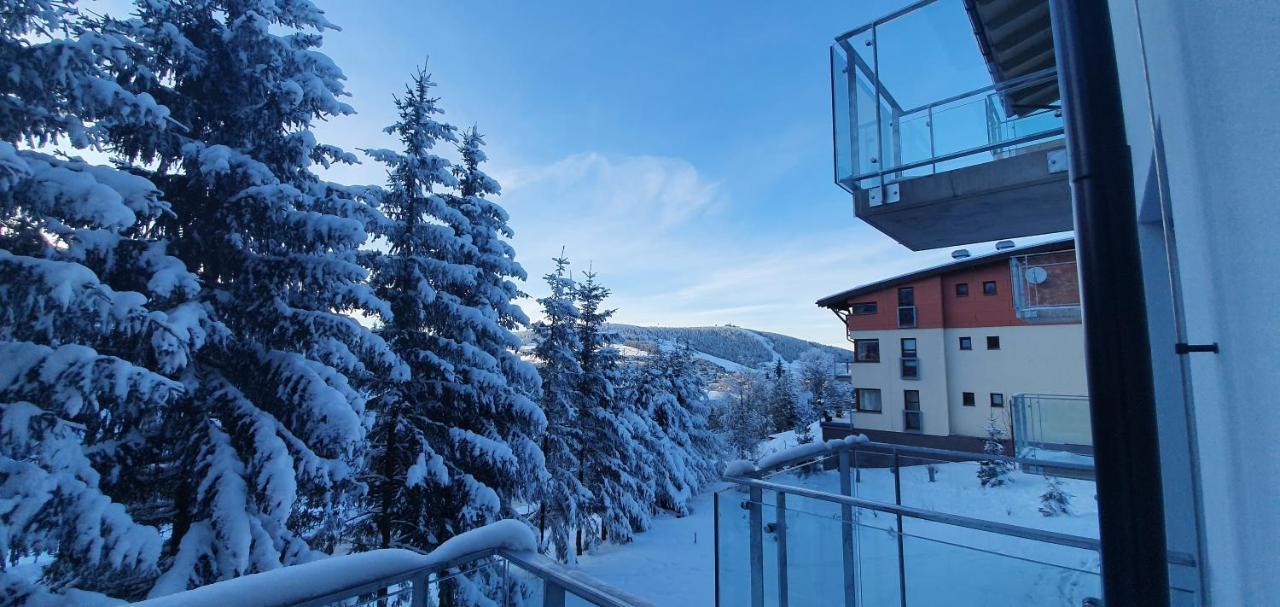 Apartman Nerudovka D 104, Finska Sauna, Garazove Stani Loučná pod Klínovcem Eksteriør bilde