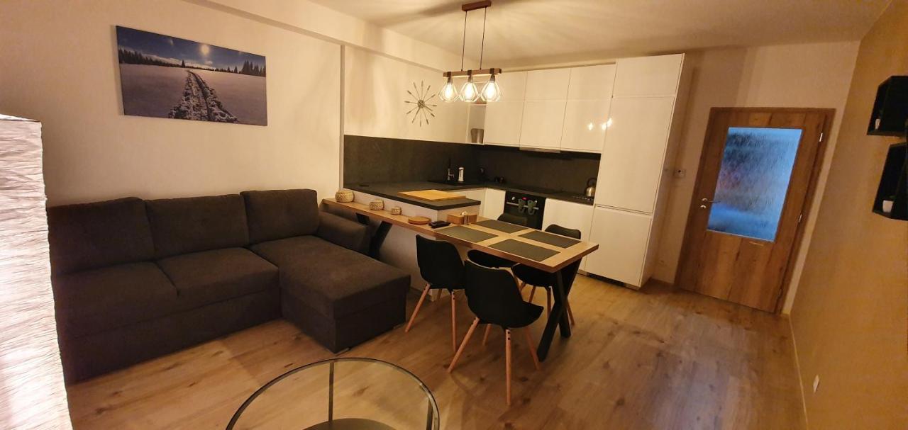 Apartman Nerudovka D 104, Finska Sauna, Garazove Stani Loučná pod Klínovcem Eksteriør bilde