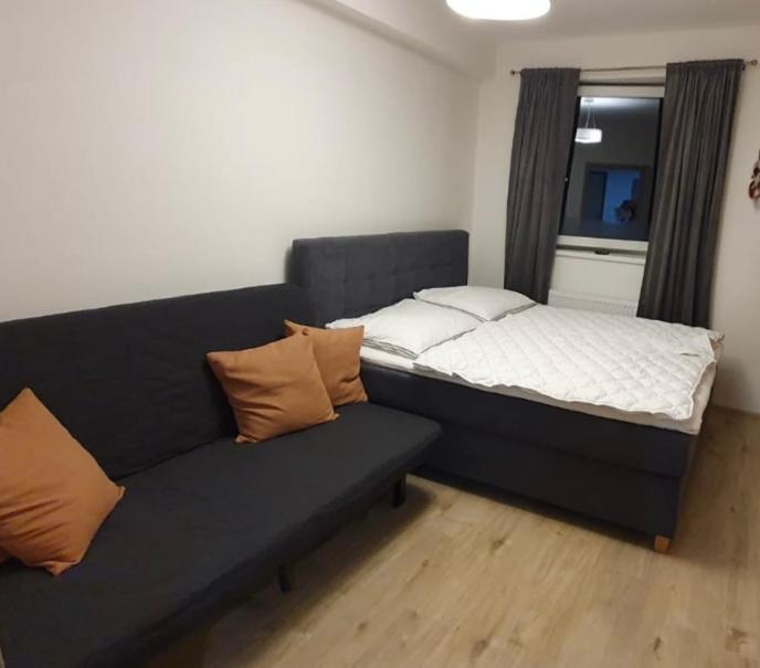 Apartman Nerudovka D 104, Finska Sauna, Garazove Stani Loučná pod Klínovcem Eksteriør bilde